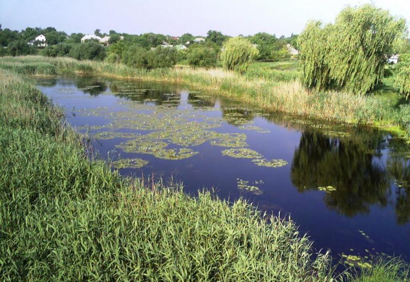 Кінецьпіль з panoramio.com - Kinetspil