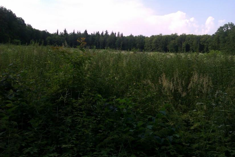 Заріцьк з panoramio.com - Заріцьк