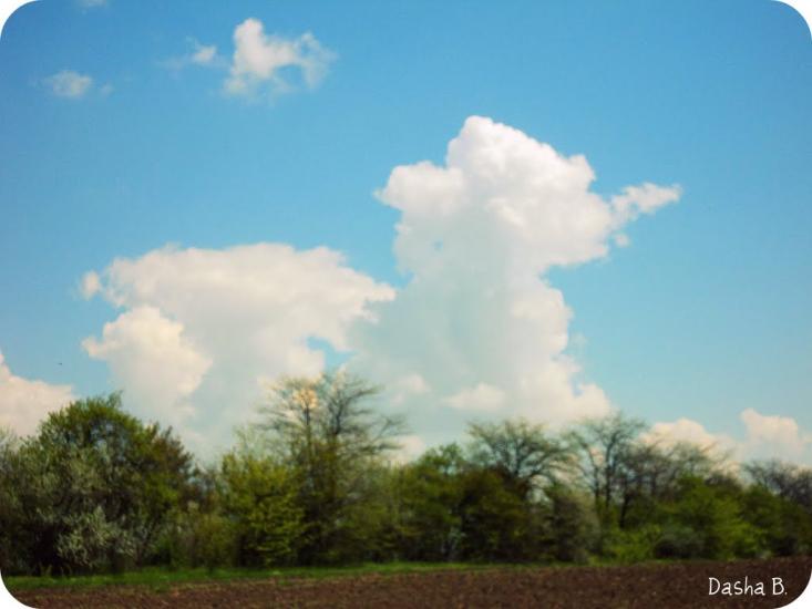 Дачне з panoramio.com - Дачне