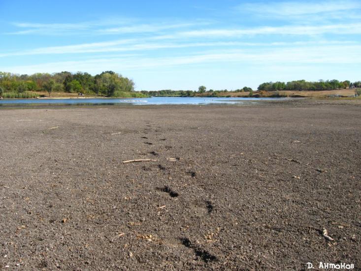 Христофорівка з panoramio.com - Христофоровка