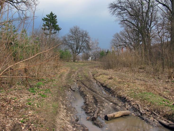 Несваткове з panoramio.com - Несватково