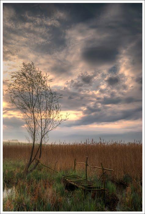 Бальківці з panoramio.com - Бальківці