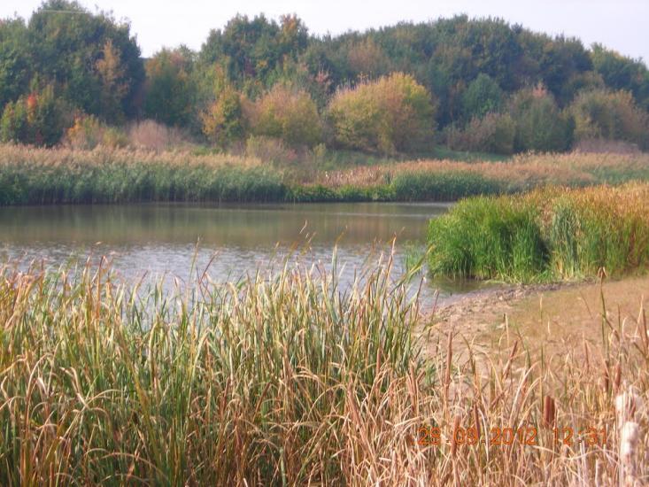 Цапівка з panoramio.com - Цаповка