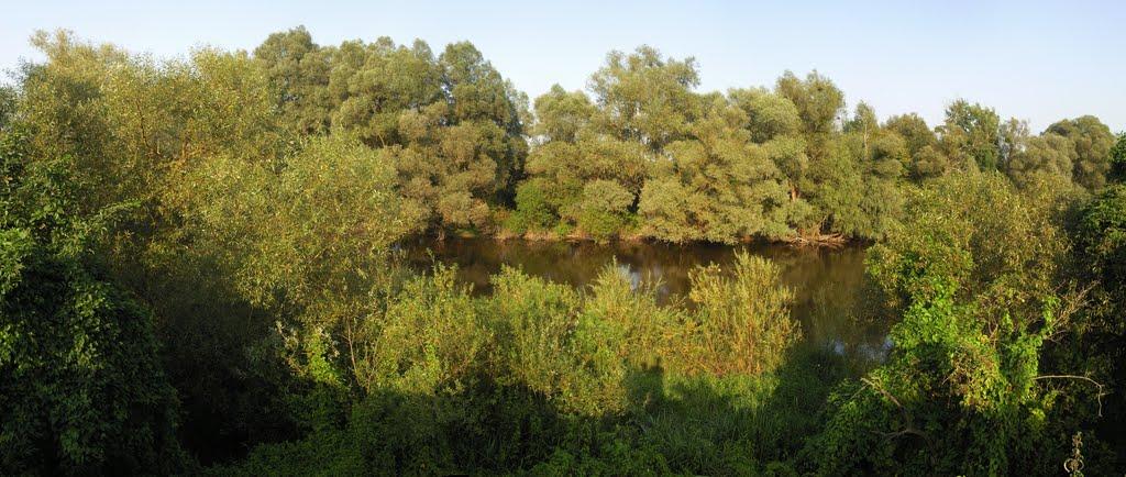 Гуща з panoramio.com - Гуща