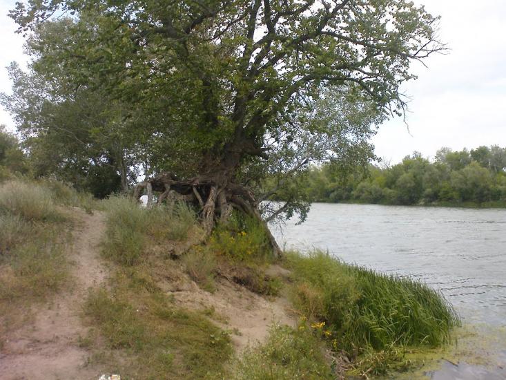 Великий Суходіл з panoramio.com - Великий Суходол