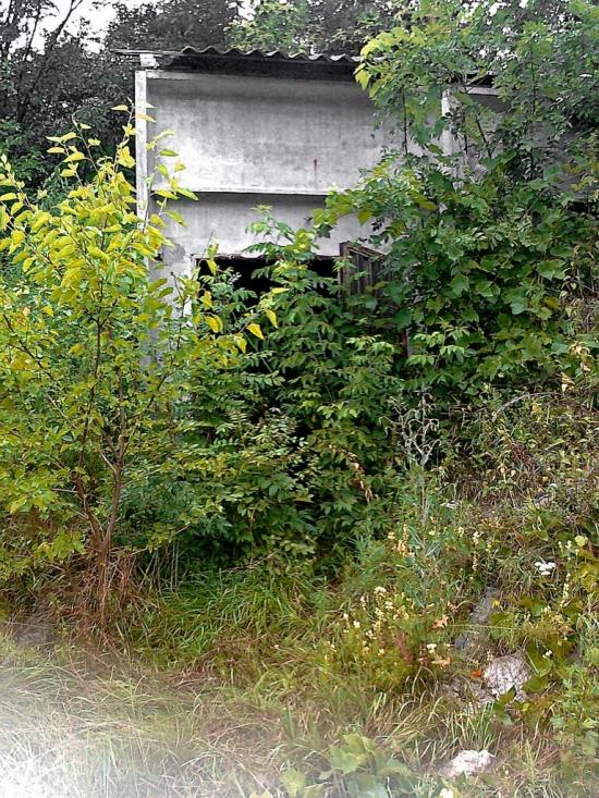 Подорожнє з panoramio.com - Подорожнє