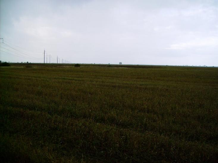 Велика Кошелівка з panoramio.com - Велика Кошелівка