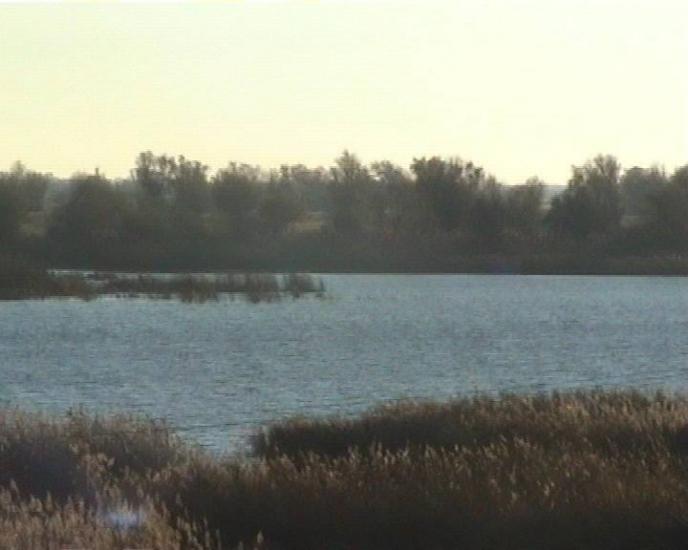 Кізомис з panoramio.com - Кізомис