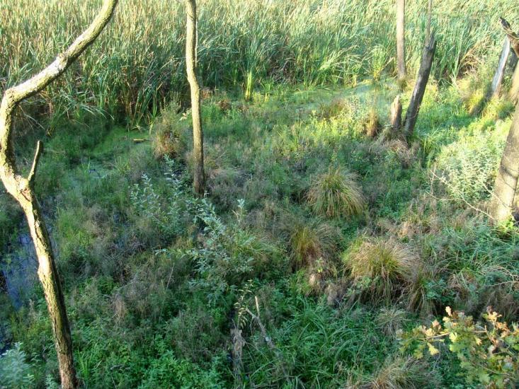 Оржів з panoramio.com - Оржів