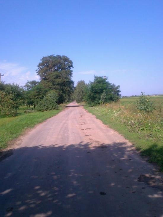Сатиїв з panoramio.com - Сатыев