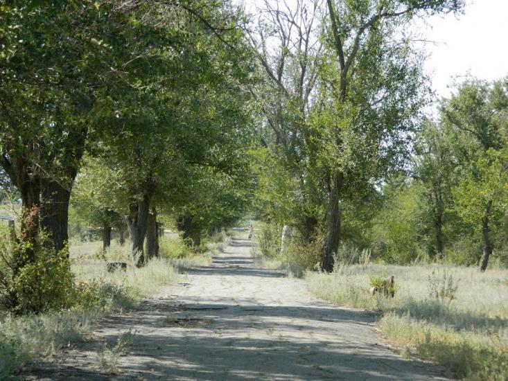 Іванівка з panoramio.com - Ивановка
