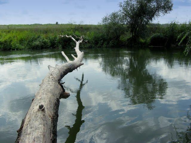 Таганка з panoramio.com - Таганка