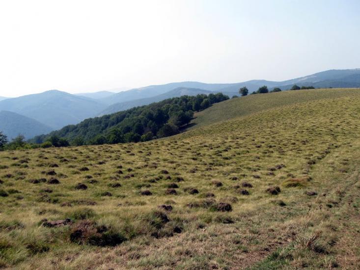 Вучкове з panoramio.com - Вучково