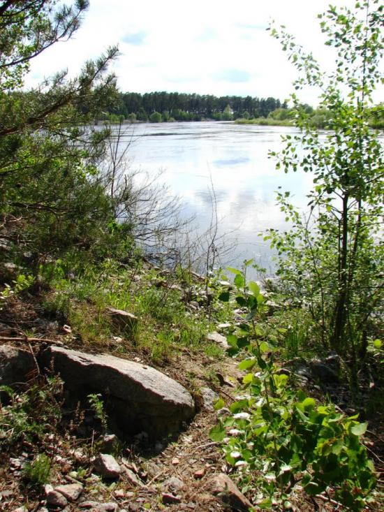 Неданчичі з panoramio.com - Неданчичі