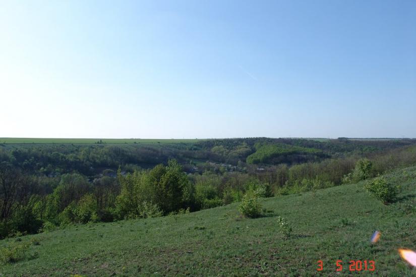 Борщівці з panoramio.com - Борщівці