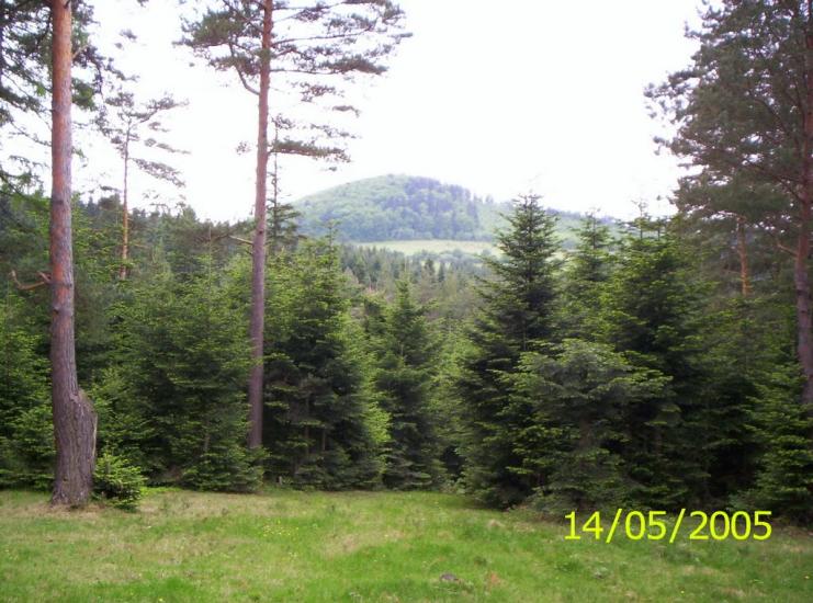 Добромиль з panoramio.com - Dobromyl