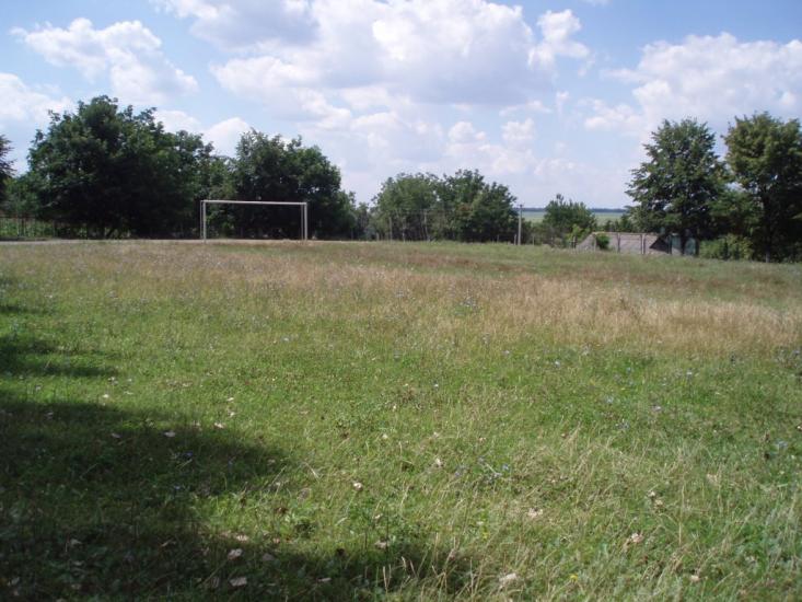 Шершенці з panoramio.com - Shershentsi