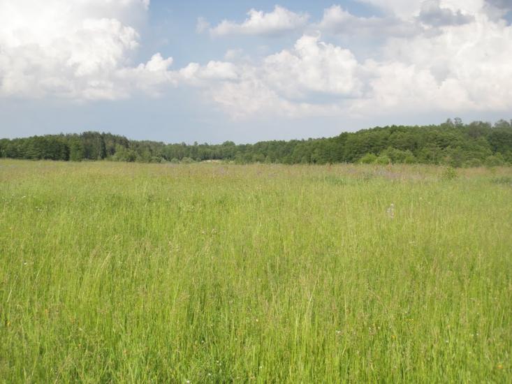 Олевськ з panoramio.com - Олевск