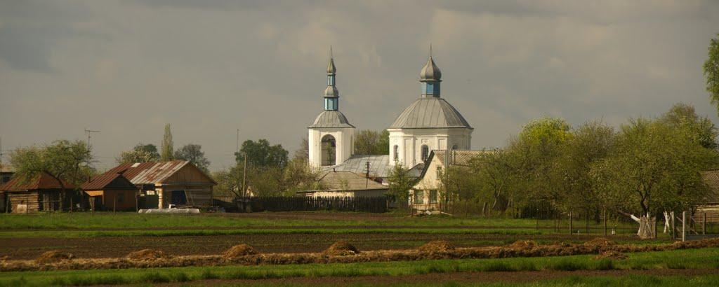 Вороніж з panoramio.com - Воронеж