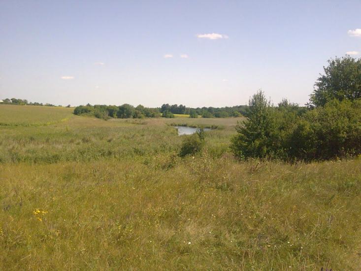 Першотравенка з panoramio.com - Первотравенка