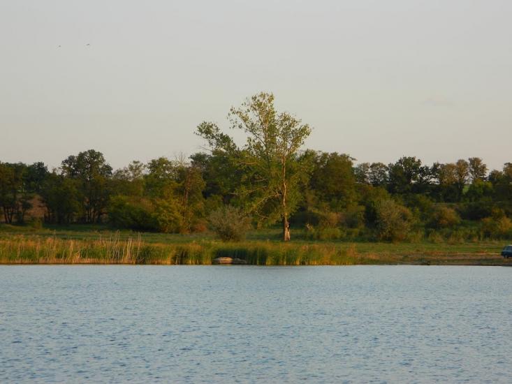 Чумаки з panoramio.com - Chumaky