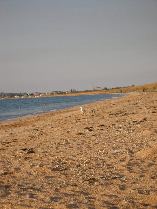 Заводське з panoramio.com - Заводское