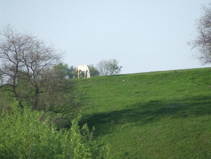 Кодня з panoramio.com - Kodnya