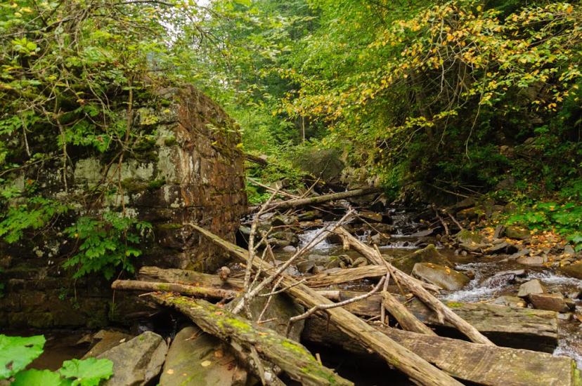 Буківцьово з panoramio.com - Буковцево