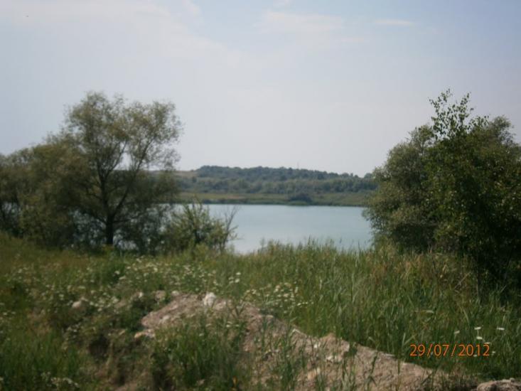 Розділ з panoramio.com - Роздол