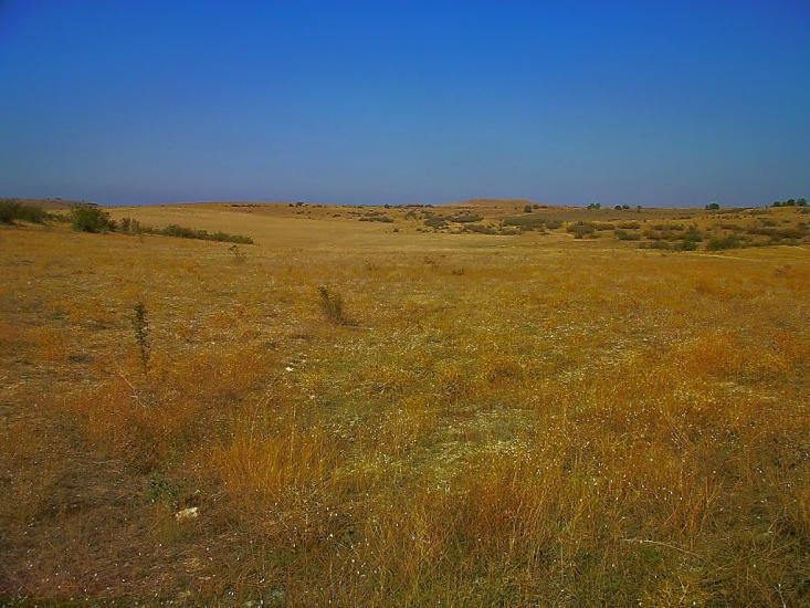 Каштани з panoramio.com - Каштани