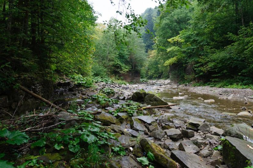Буківцьово з panoramio.com - Буковцево