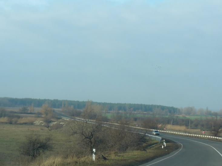 Комар з panoramio.com - Komar