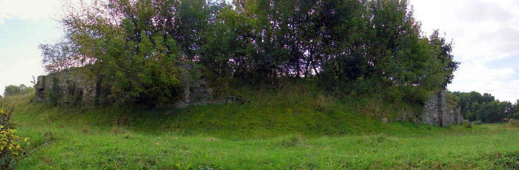 Миропіль з panoramio.com - Мирополь