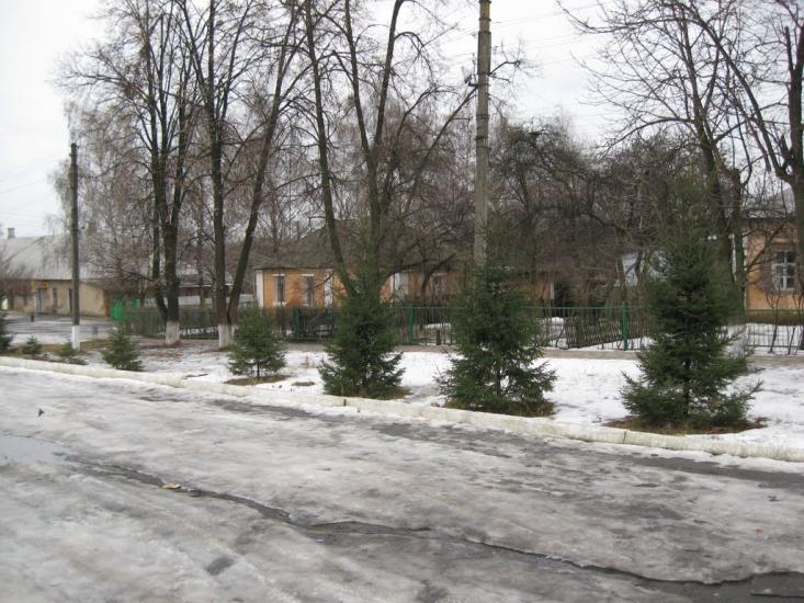 Дублянка з panoramio.com - Дублянка