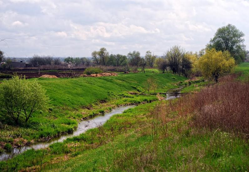 Верхньоторецьке з panoramio.com - Верхньоторецьке