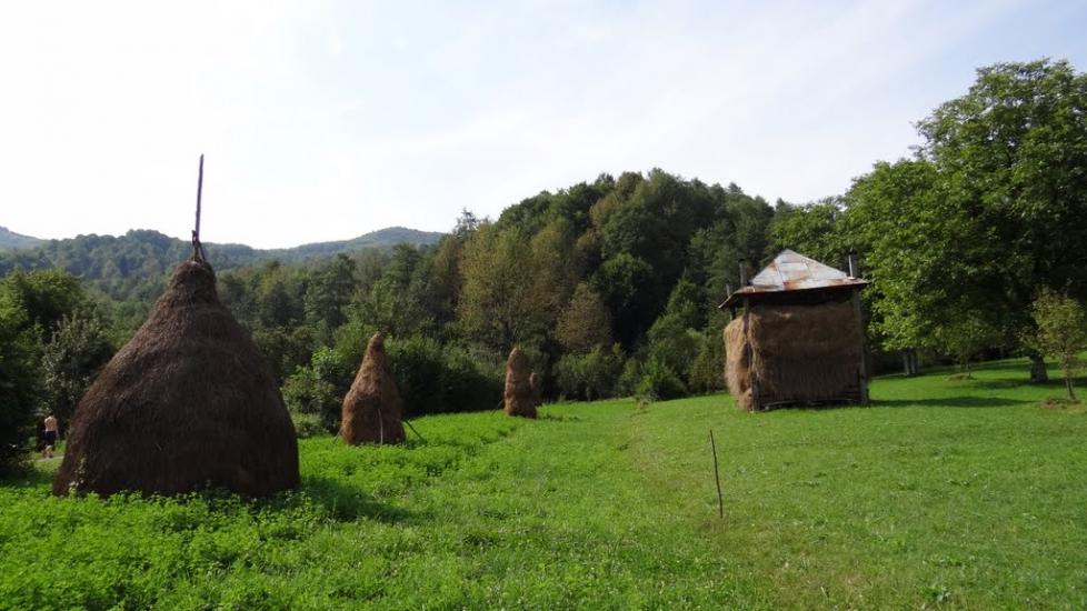 Луг з panoramio.com - Луг
