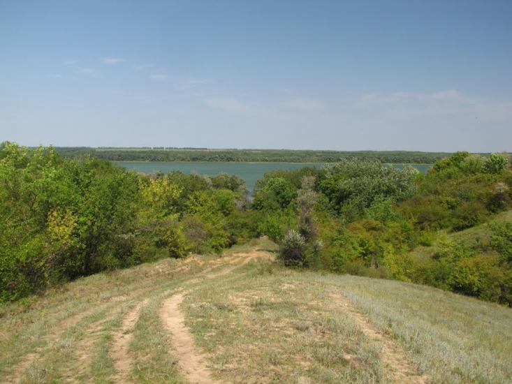 Ясинувате з panoramio.com - Ясинувате