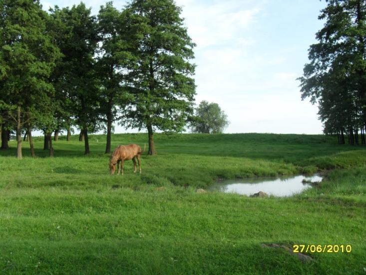 Турбів з panoramio.com - Турбов