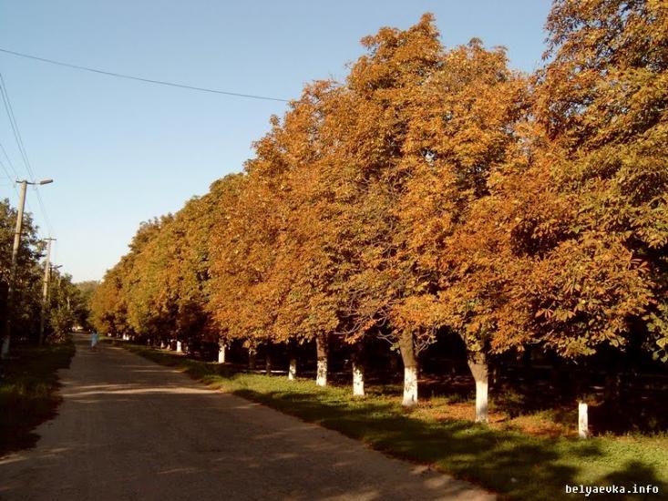 Біляївка з panoramio.com - Беляевка