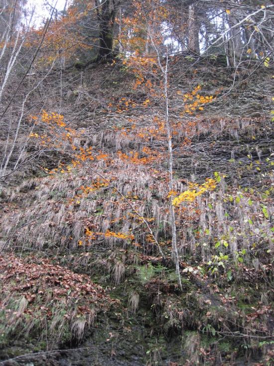 Вишка з panoramio.com - Vyshka