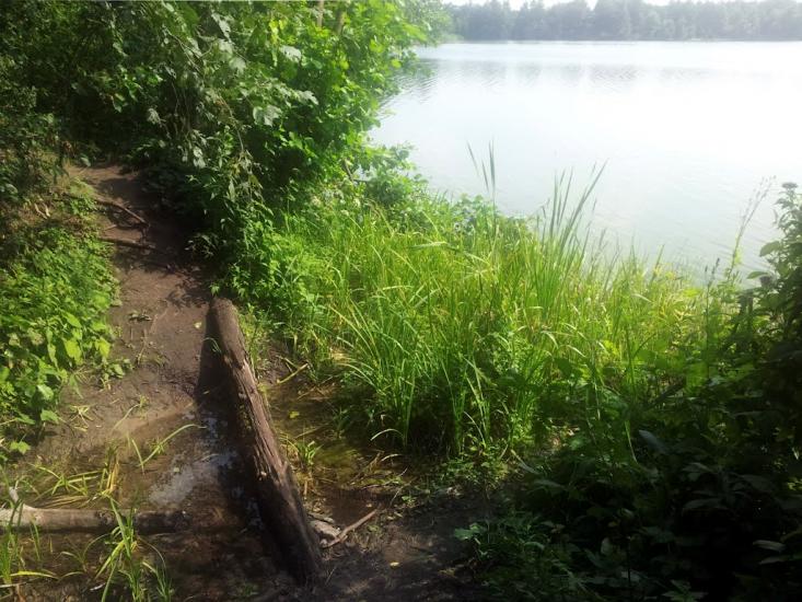 Лісники з panoramio.com - Лесники