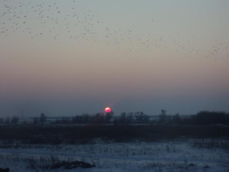 Дачне з panoramio.com - Дачне
