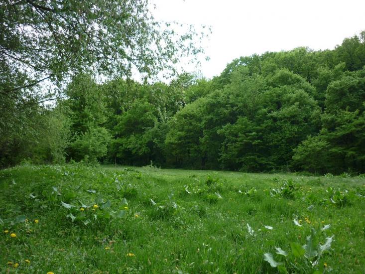 Бронниця з panoramio.com - Бронниця