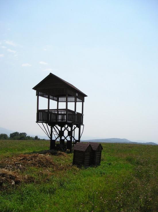 Забрідь з panoramio.com - Забродь
