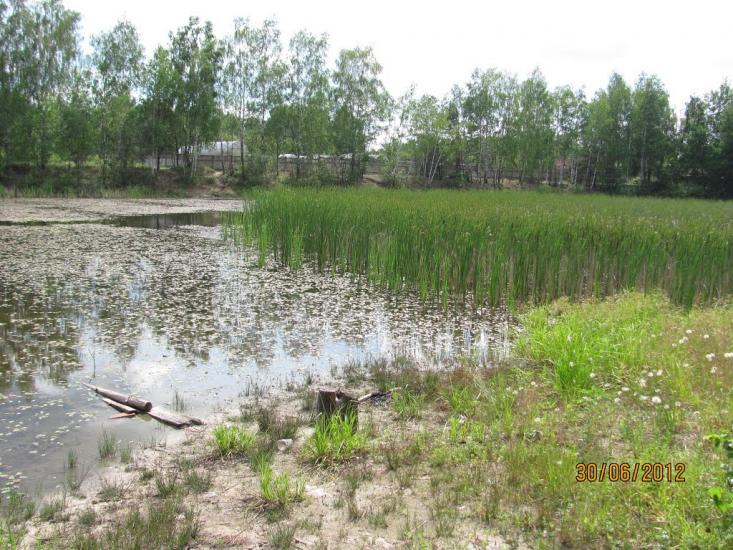 Добрянка з panoramio.com - Dobryanka