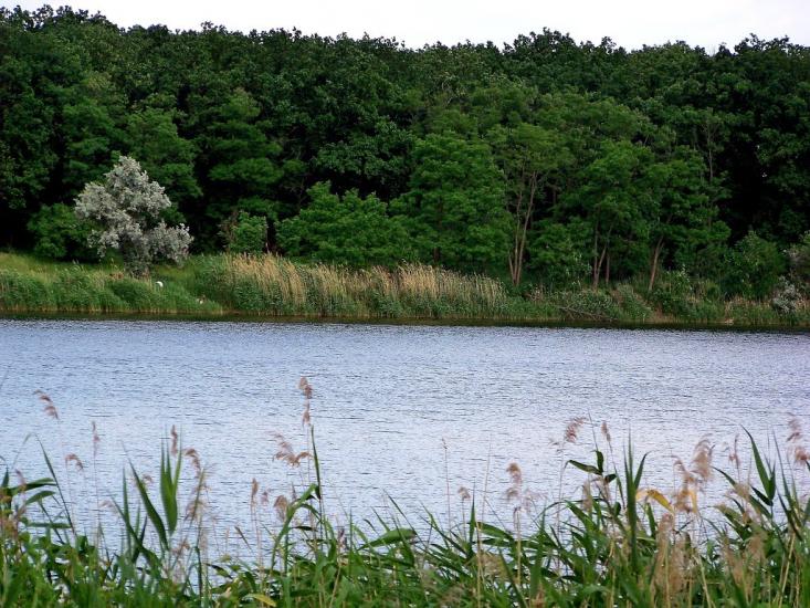 Христофорівка з panoramio.com - Христофоровка
