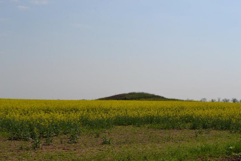 Мар'їне з panoramio.com - Мар'їне