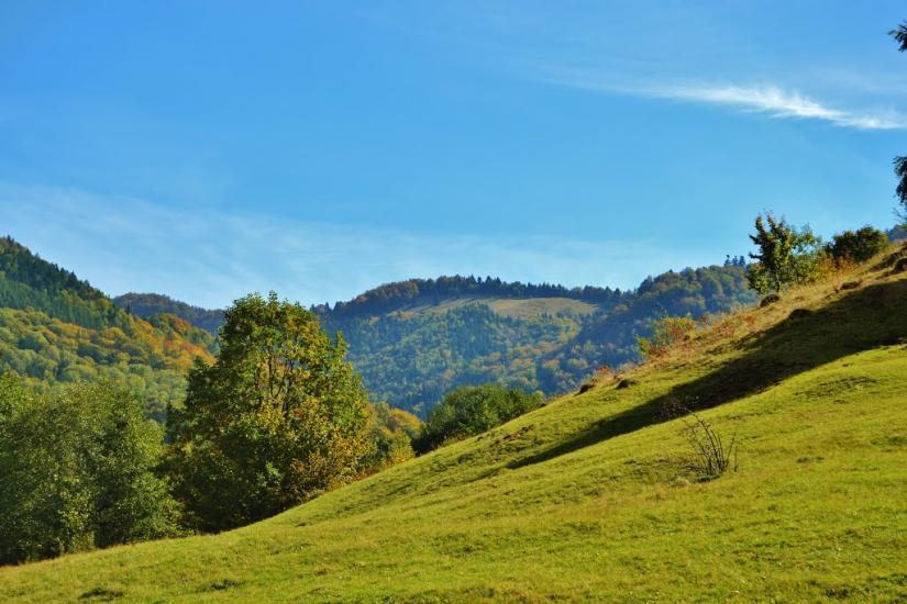 Росішка з panoramio.com - Rosishka