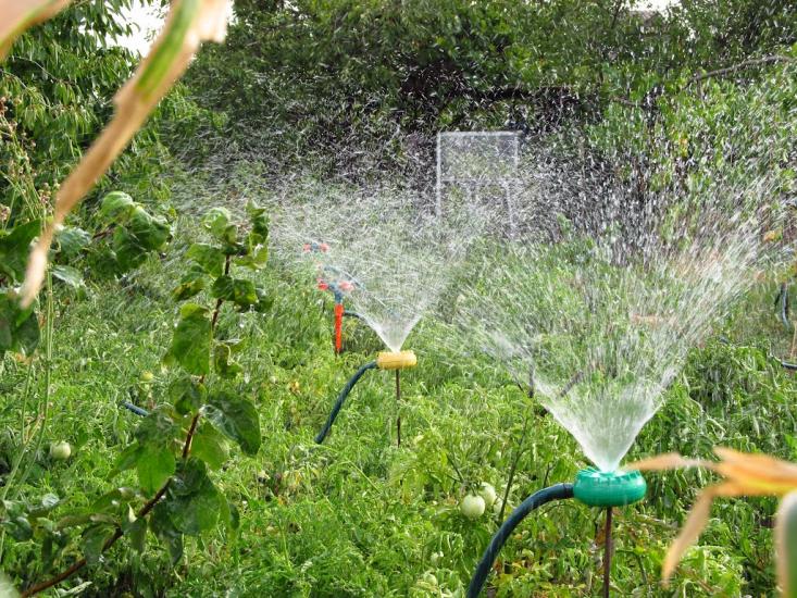 Нововасилівка з panoramio.com - Нововасилевка