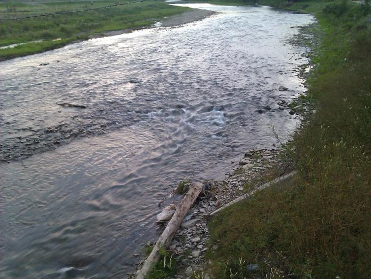 Лопушанка-Хомина з panoramio.com - Лопушанка-Хомина